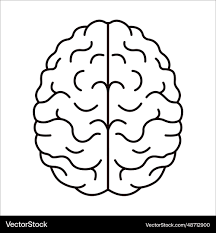 NEURO SURGERIES PERFORMED SUCCESSFULLY