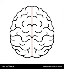NEURO SURGERIES PERFORMED SUCCESSFULLY